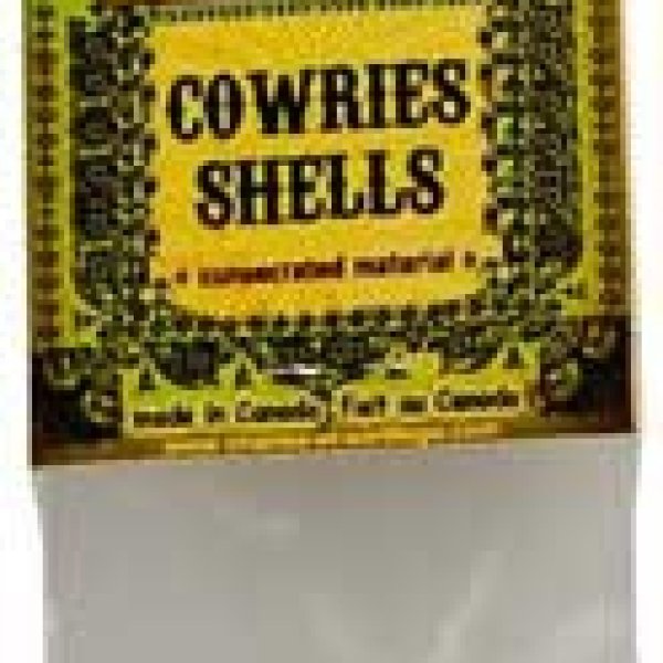 Cowries Shells (Coquilles Cauries)