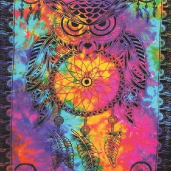 54" x 86" Owl dream catcher